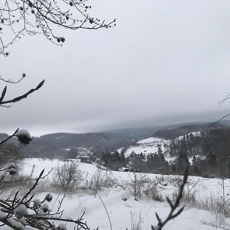 Neerdar Bergchalet La Roubine Willingen מראה חיצוני תמונה