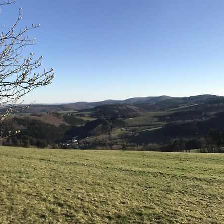 Neerdar Bergchalet La Roubine Willingen מראה חיצוני תמונה