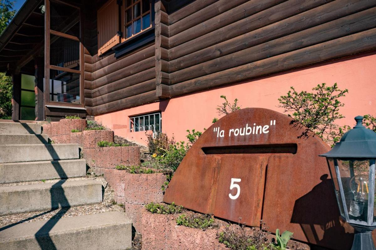 Neerdar Bergchalet La Roubine Willingen מראה חיצוני תמונה