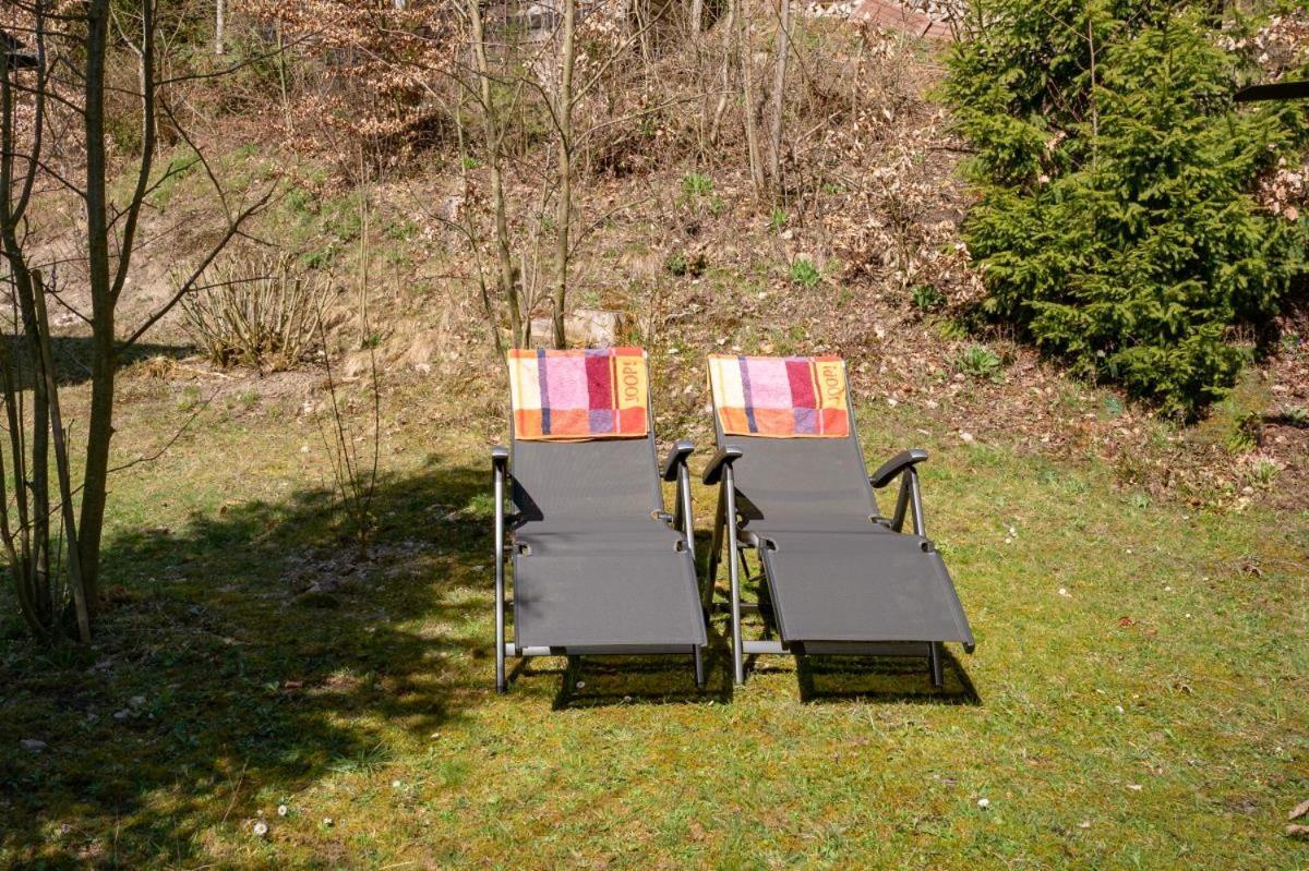 Neerdar Bergchalet La Roubine Willingen מראה חיצוני תמונה