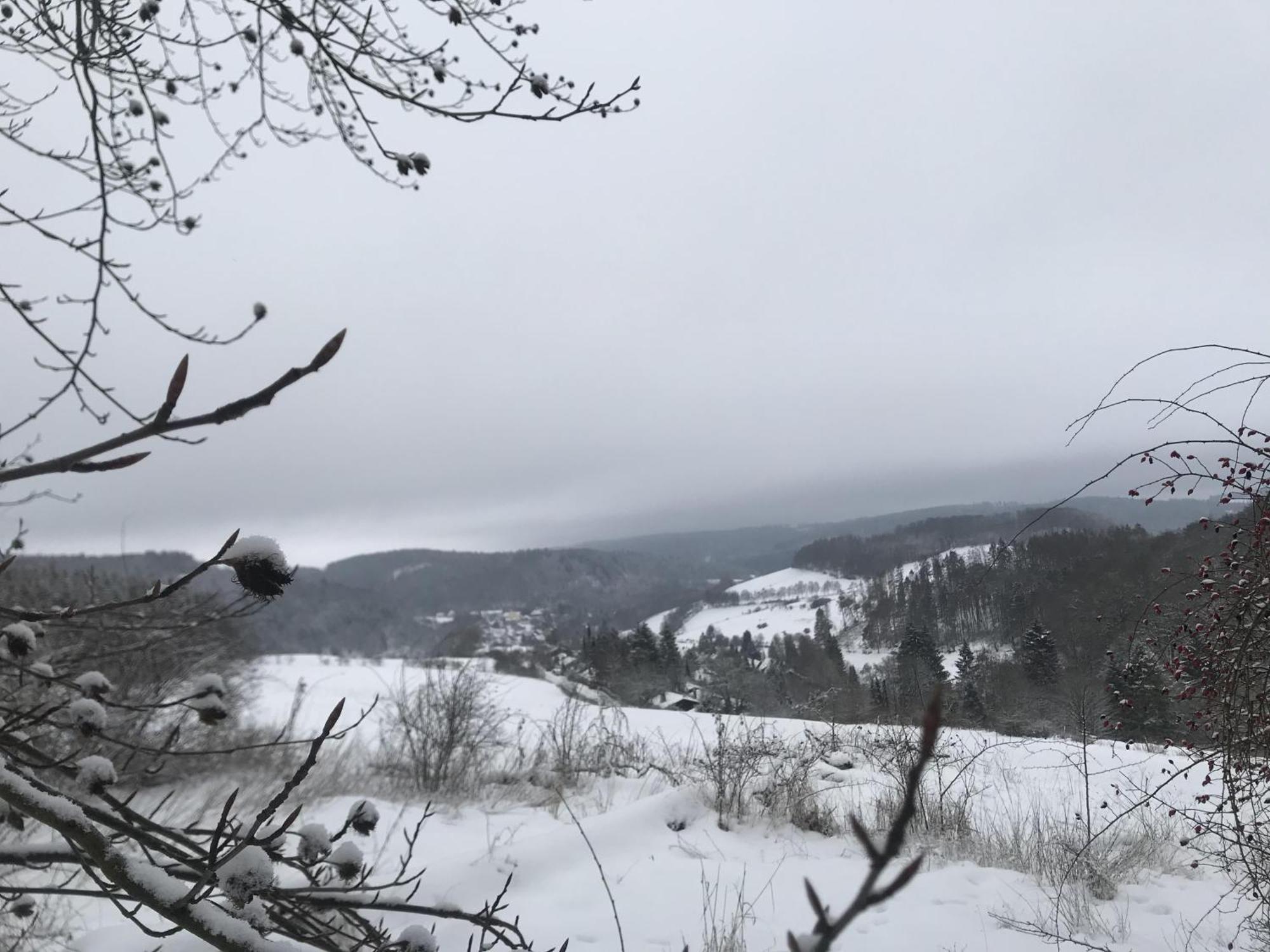 Neerdar Bergchalet La Roubine Willingen מראה חיצוני תמונה