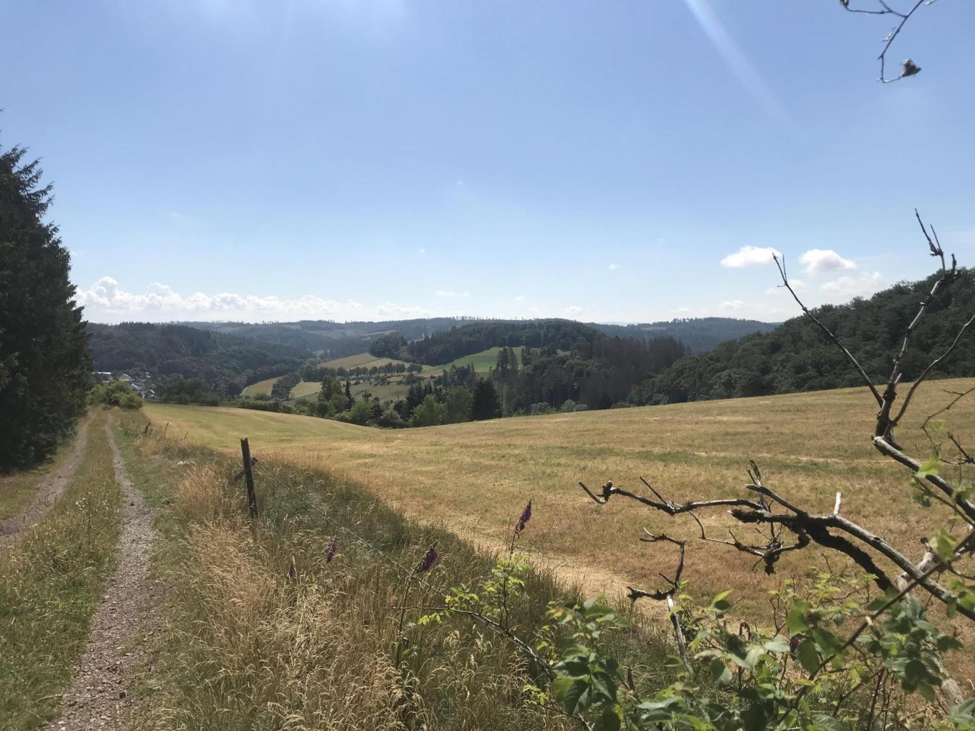 Neerdar Bergchalet La Roubine Willingen מראה חיצוני תמונה